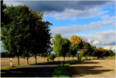 Der Herbst steht auf der Leiter,...