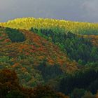 Der Herbst steht auf der Leiter und malt die Blätter an ...