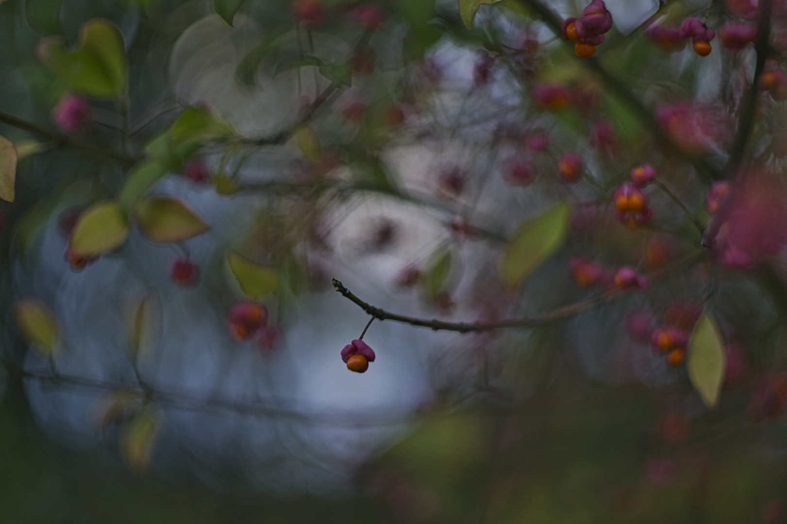 Der Herbst steht auf der Leiter Und malt die Blätter an ...