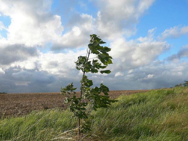 Der Herbst steht bei Tür und in unser Herz klopfen