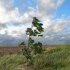 Der Herbst steht bei Tür und in unser Herz klopfen