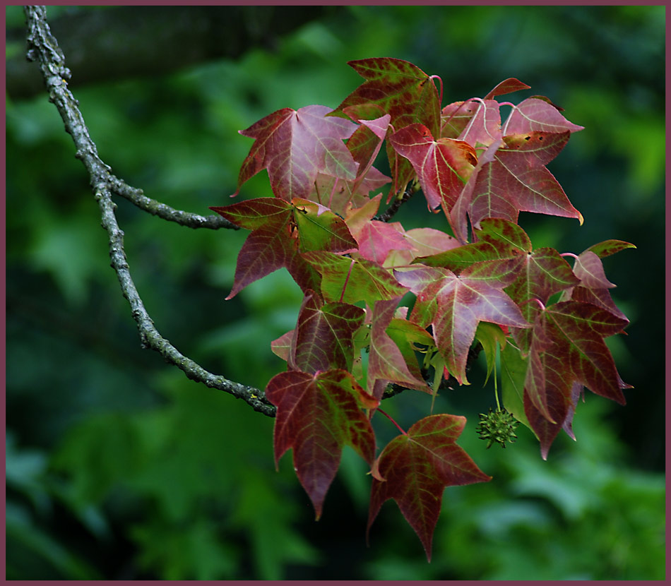 Der Herbst steht jetzt schon vor der Tür