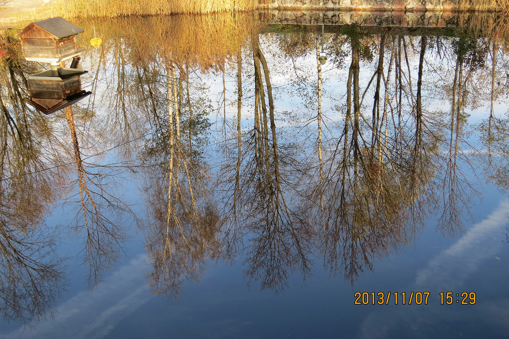 Der Herbst steht Kopf