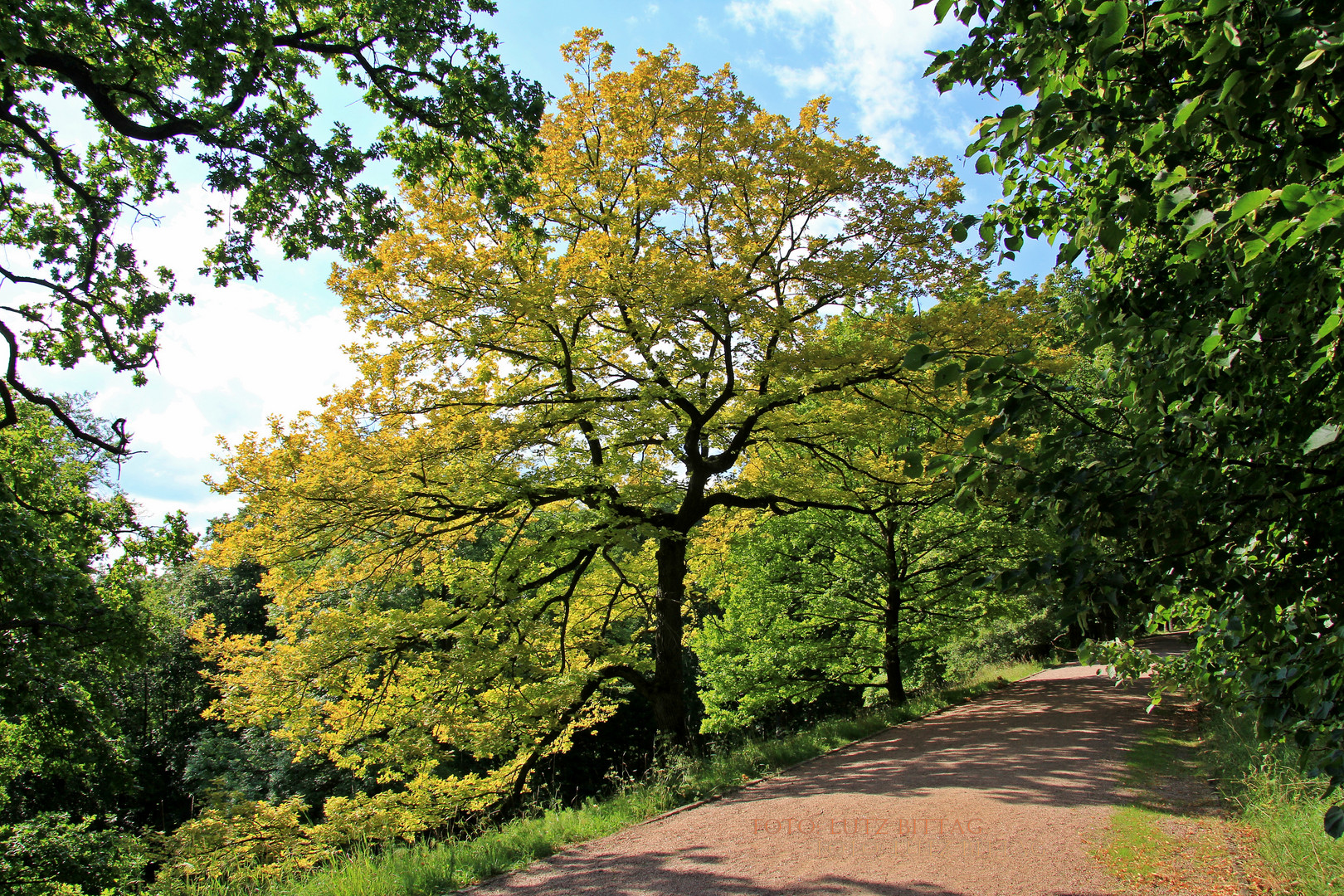 Der Herbst steht schon vor der Tür, ...