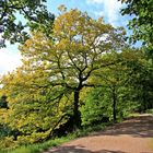 Der Herbst steht schon vor der Tür, ...