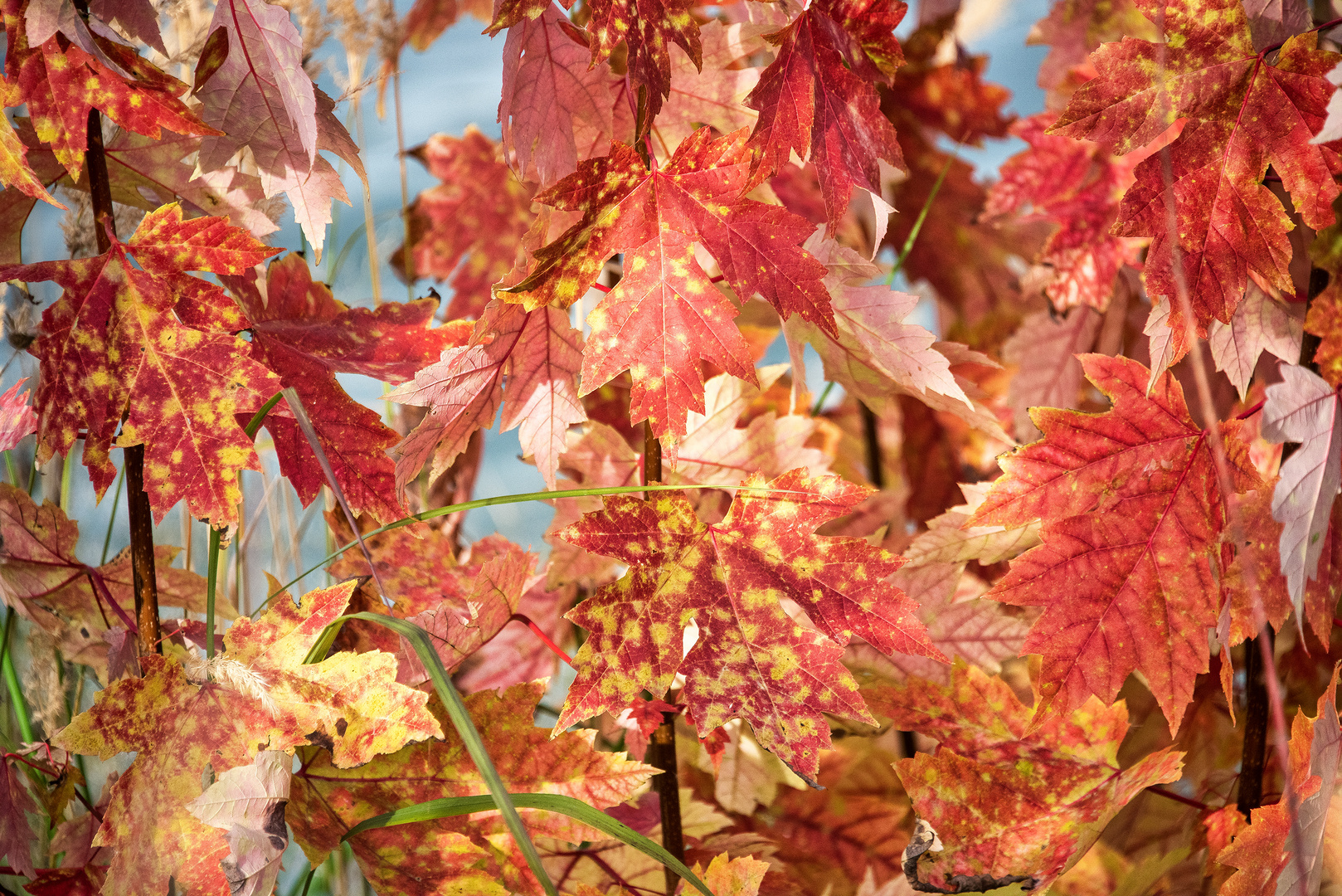 Der Herbst steht vor der Tür