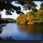 Der Herbst steht vor der Tür