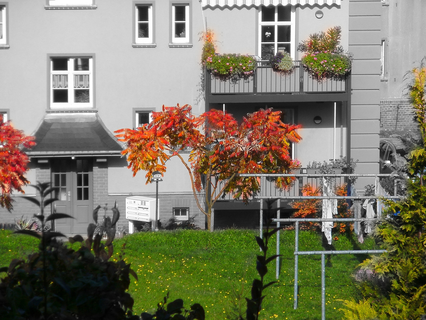 Der Herbst steht vor der tür