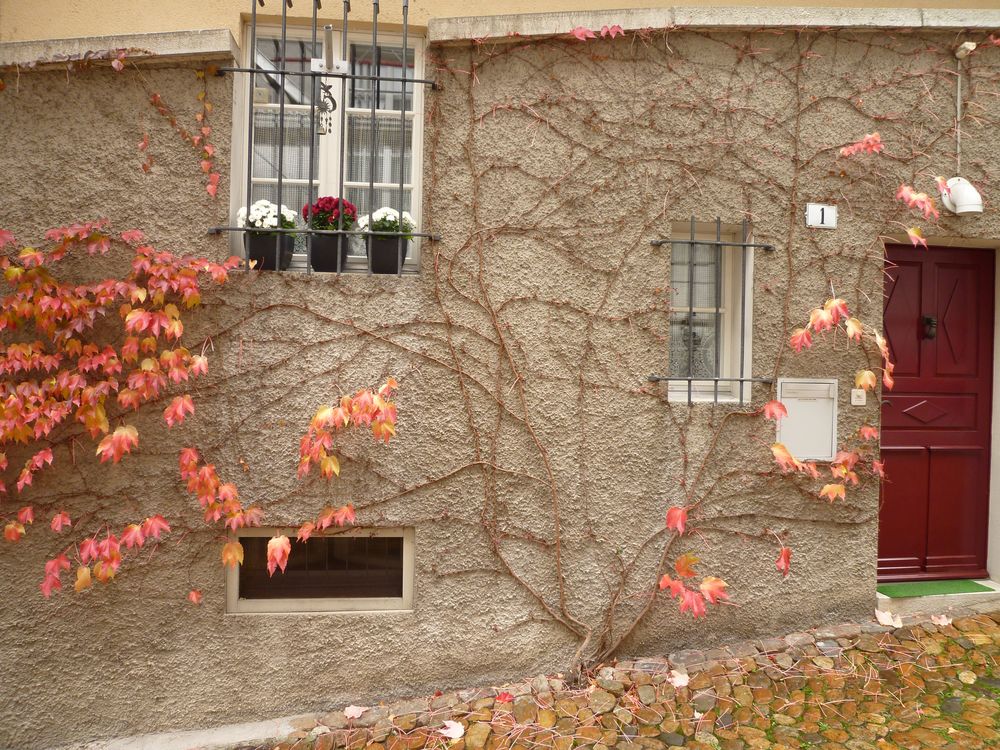 Der Herbst steht vor der Tür