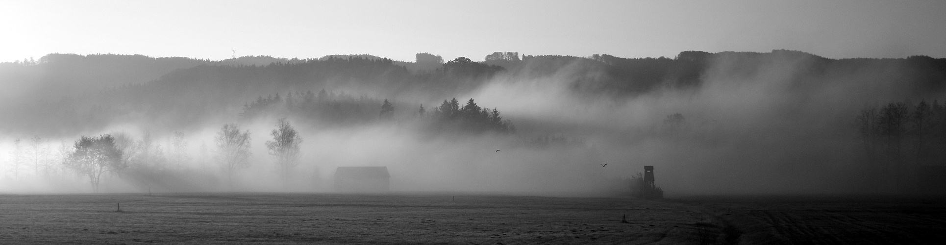 Der Herbst steht vor der Tür...