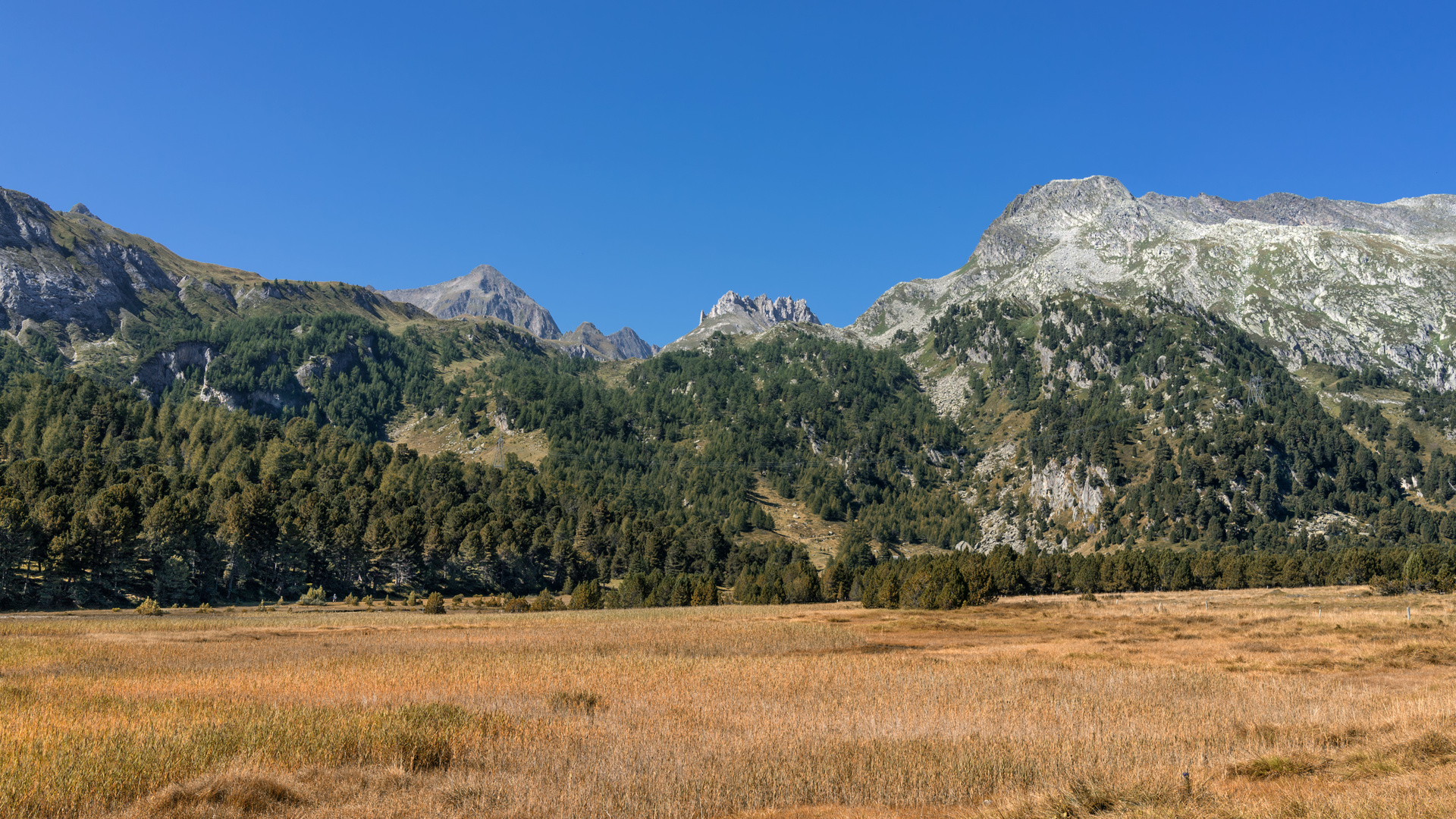 Der Herbst steht vor der Tür