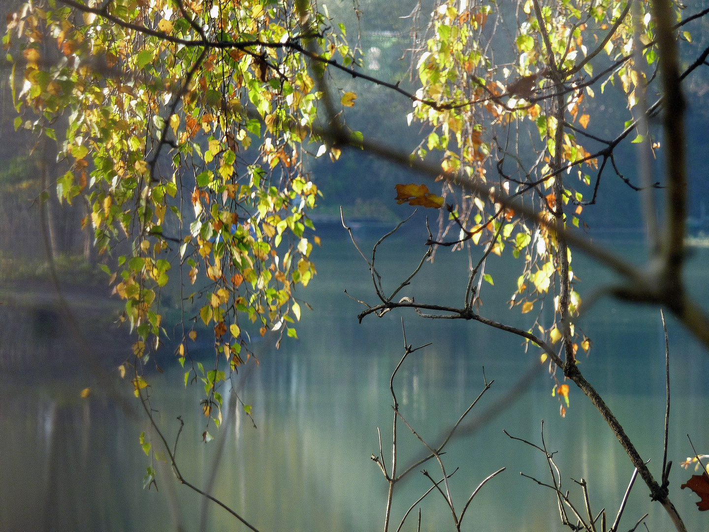 der Herbst steht vor der Tür