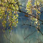 der Herbst steht vor der Tür