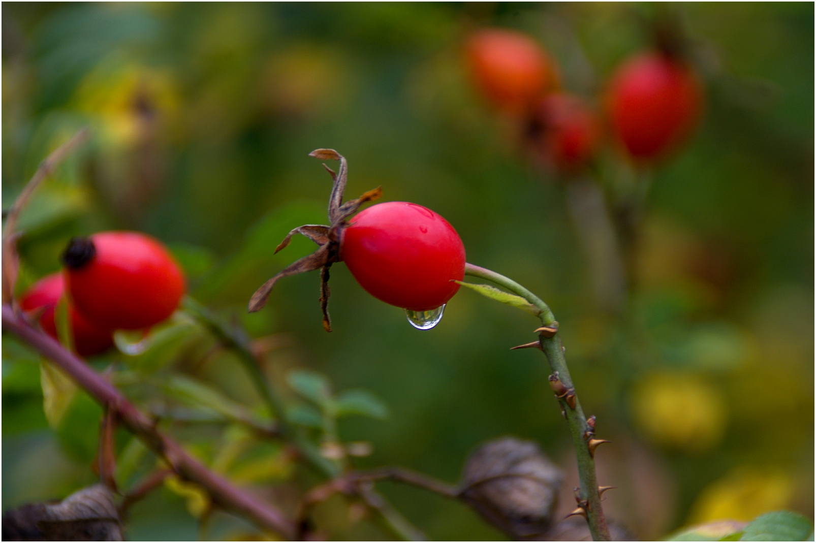 ~~Der Herbst steht vor der Türe~~