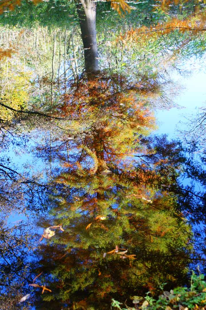 Der Herbst stellt alles auf den Kopf