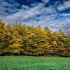 Der Herbst treibt es bunt