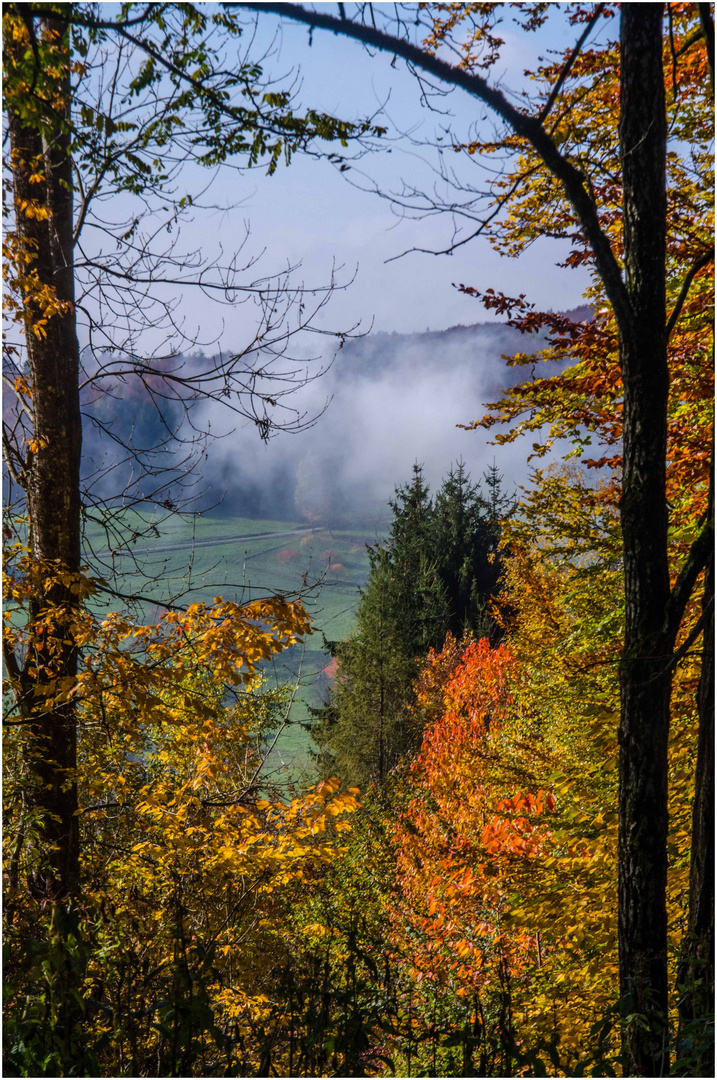 Der Herbst treibt es bunt