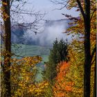 Der Herbst treibt es bunt