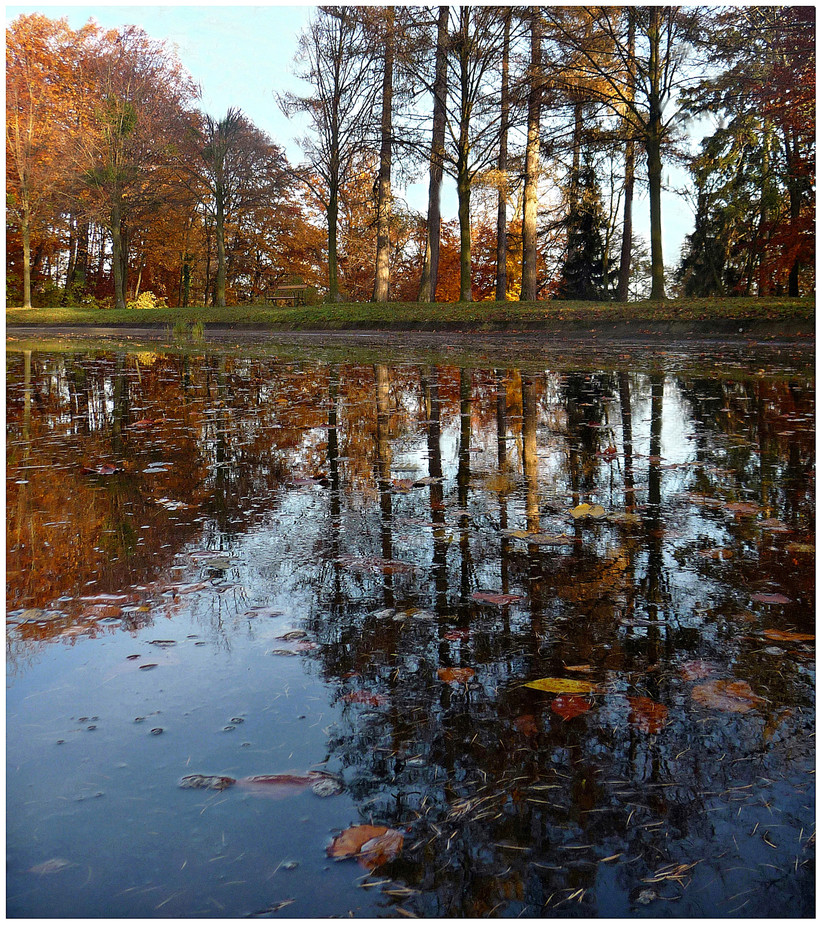 Der Herbst treibts bunt ...