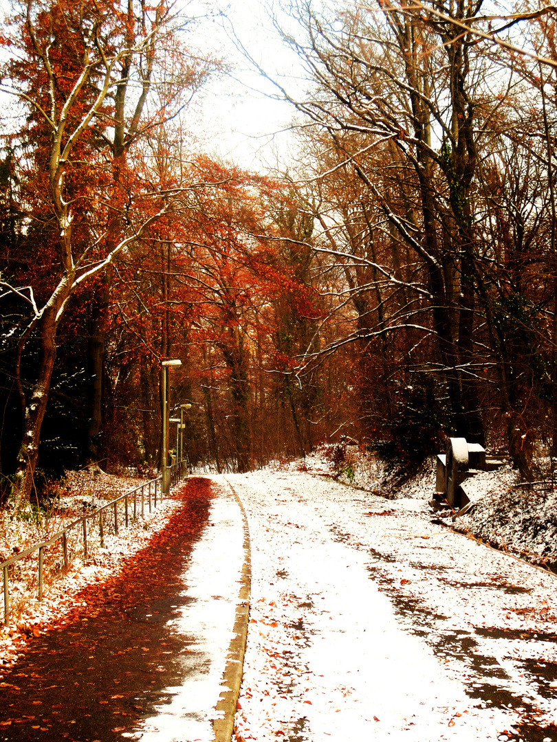 Der Herbst trifft auf den Winter