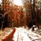 Der Herbst trifft auf den Winter