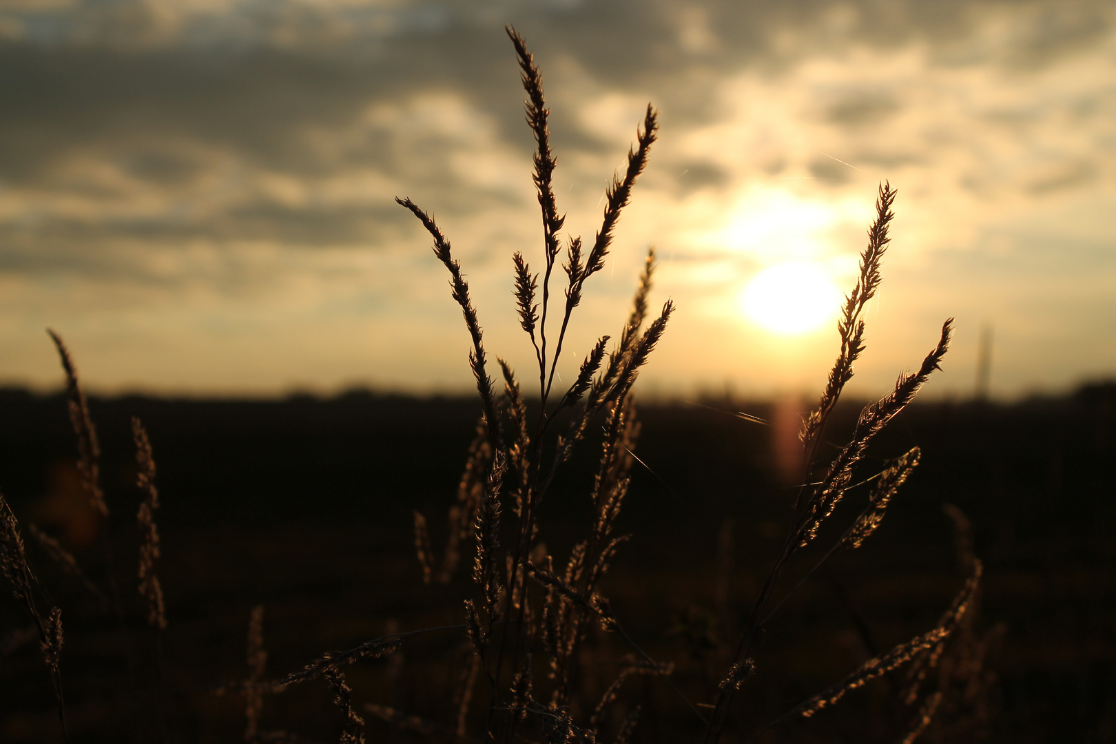 Der Herbst trifft ein...