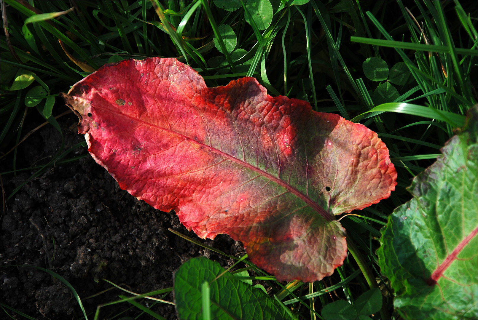 Der Herbst übt noch