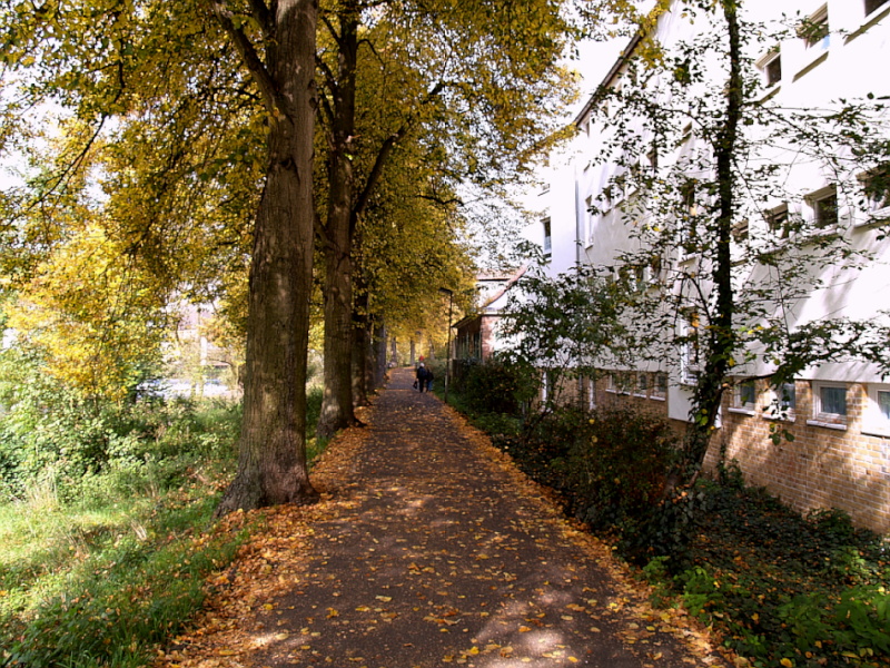 Der Herbst und sein Farbenspiel im Sonnenlicht