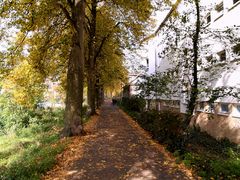 Der Herbst und sein Farbenspiel im Sonnenlicht