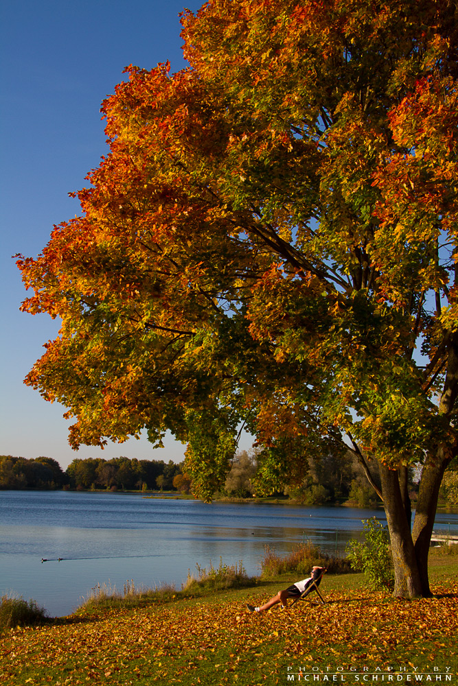 Der Herbst und seine Besucher