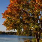 Der Herbst und seine Besucher