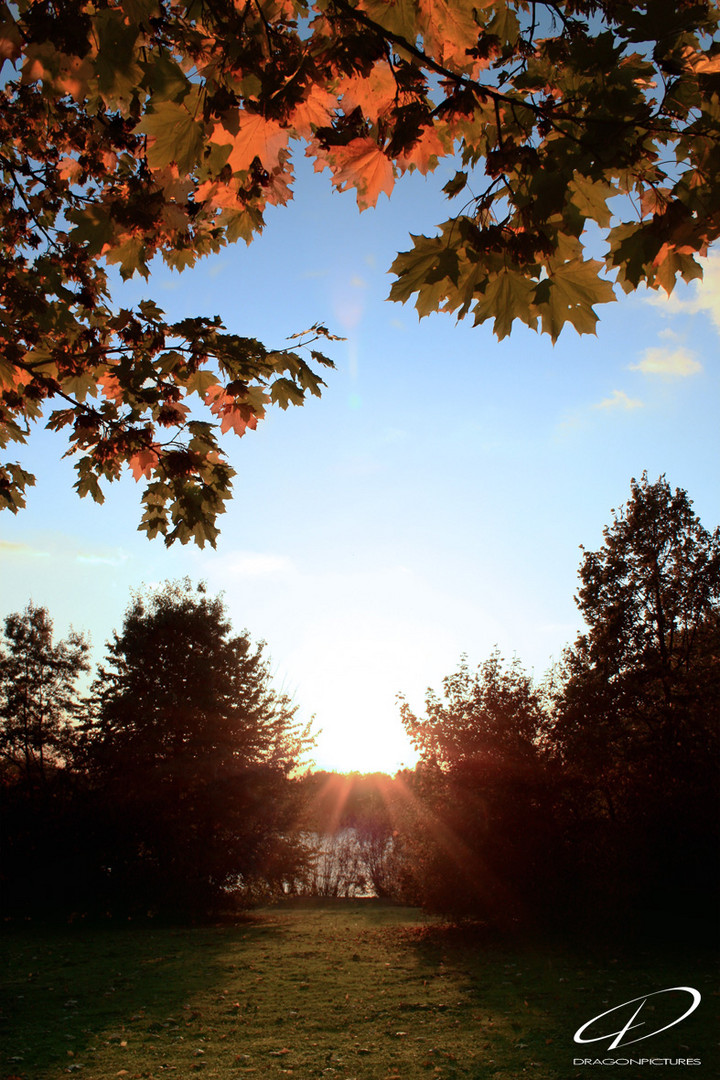 Der Herbst und seine Farben