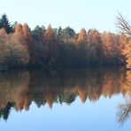 der Herbst und seine Farben (2)