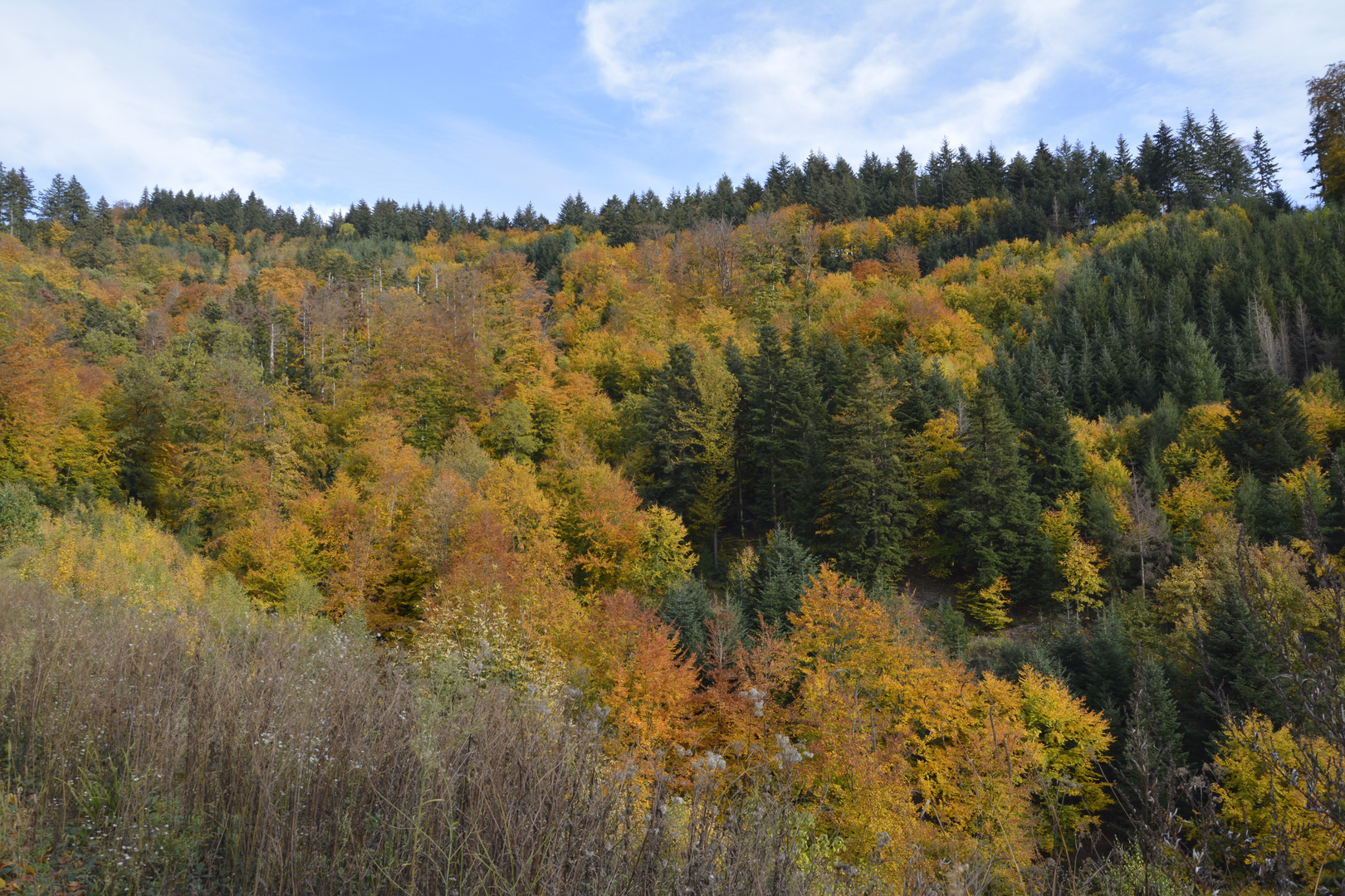 Der Herbst, und seine Farben