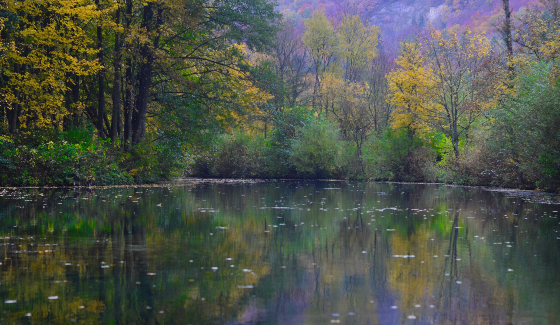 Der Herbst und seine Farben.