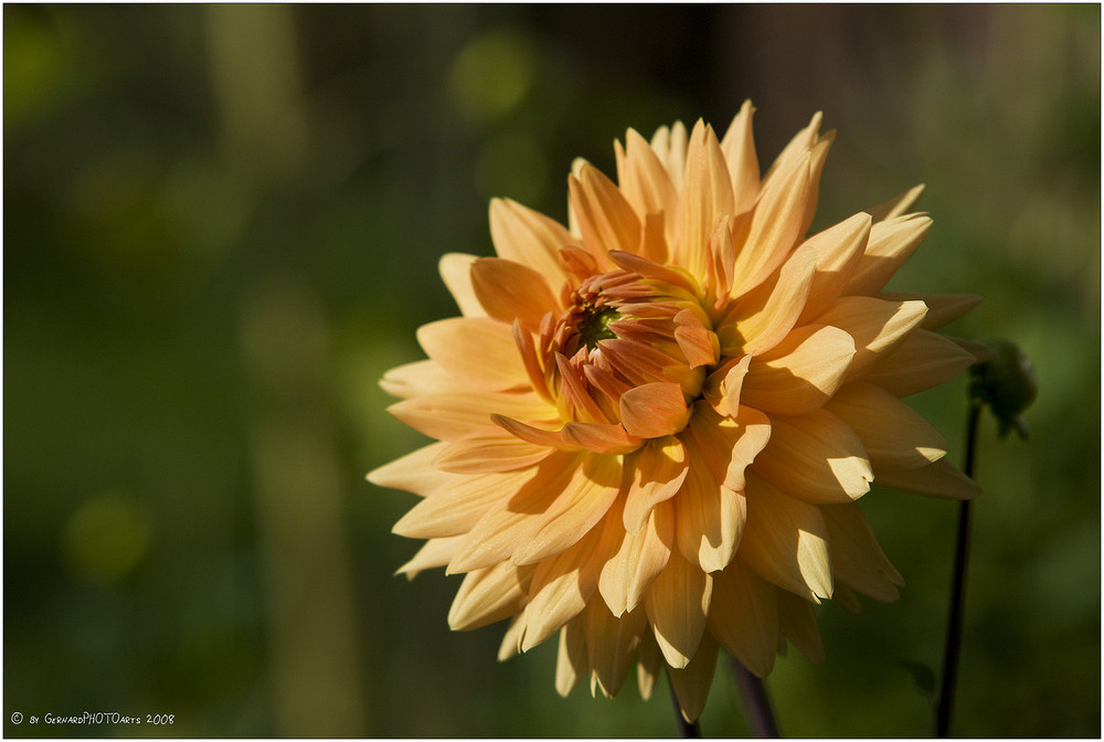 Der Herbst und seine Farben