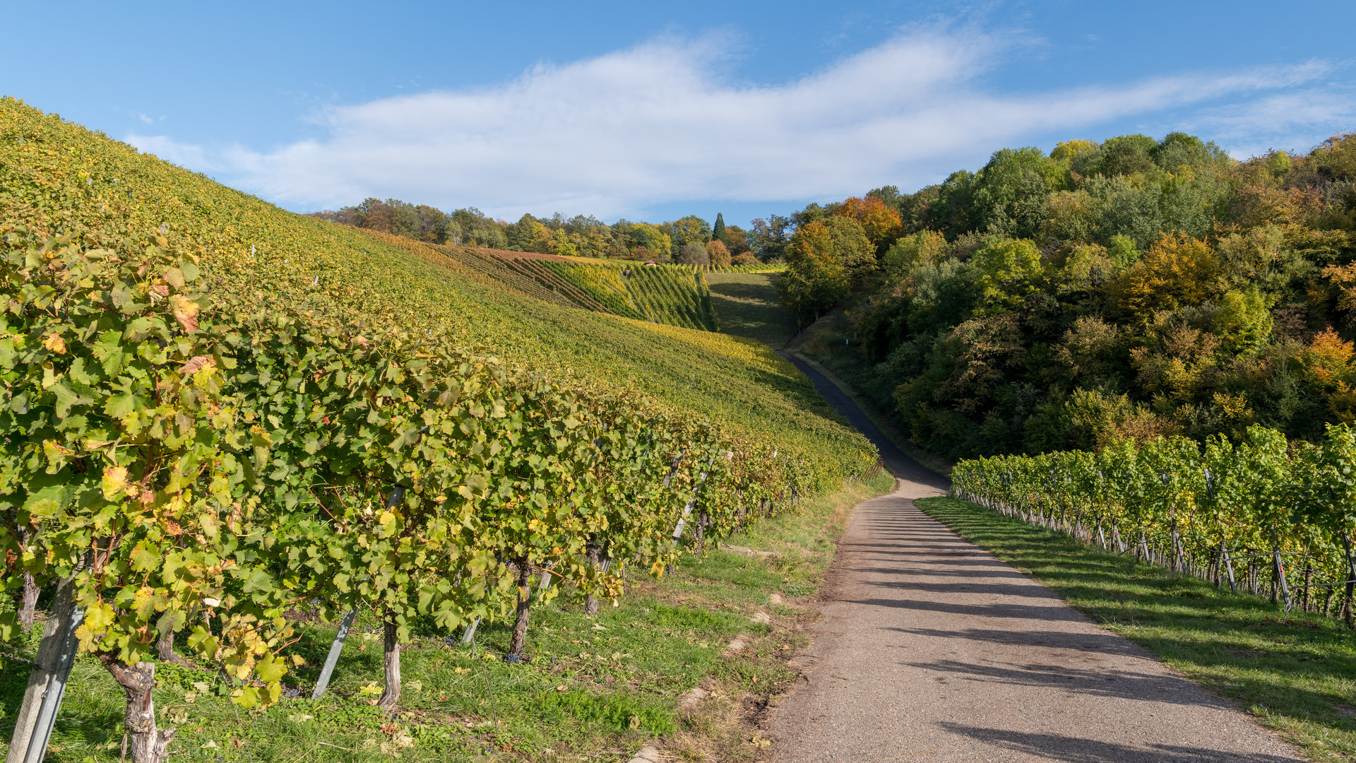 Der Herbst und seine Farben