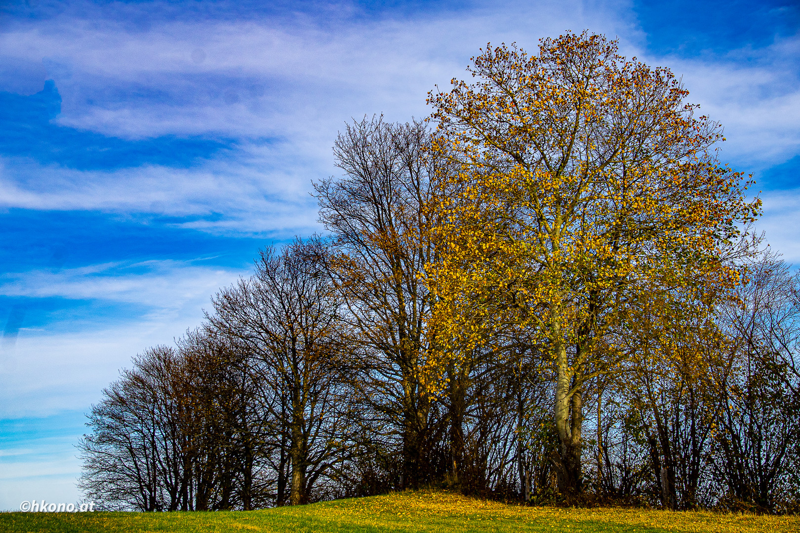 Der Herbst und seine Farben