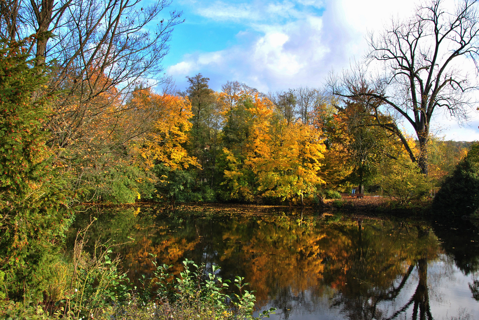 Der Herbst und seine Farben