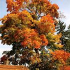 Der Herbst und seine Farben,,,