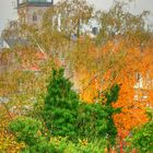 Der Herbst und seine Farben