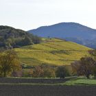 Der Herbst, und seine Farben