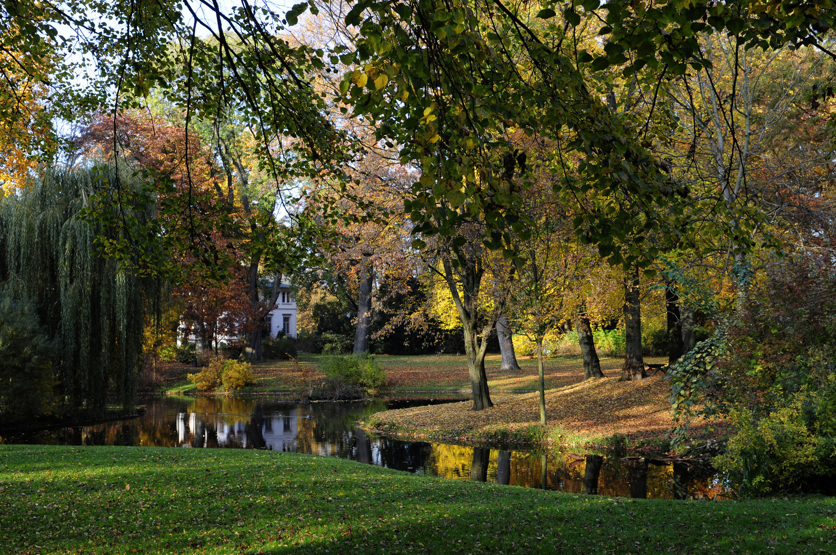 Der Herbst und seine schönen Farben.