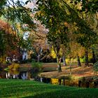 Der Herbst und seine schönen Farben.