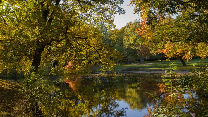 Der Herbst und seine schönen Farben.