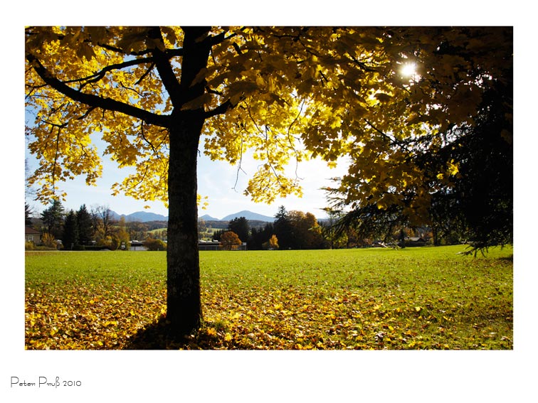 Der Herbst und seine schönen Tage