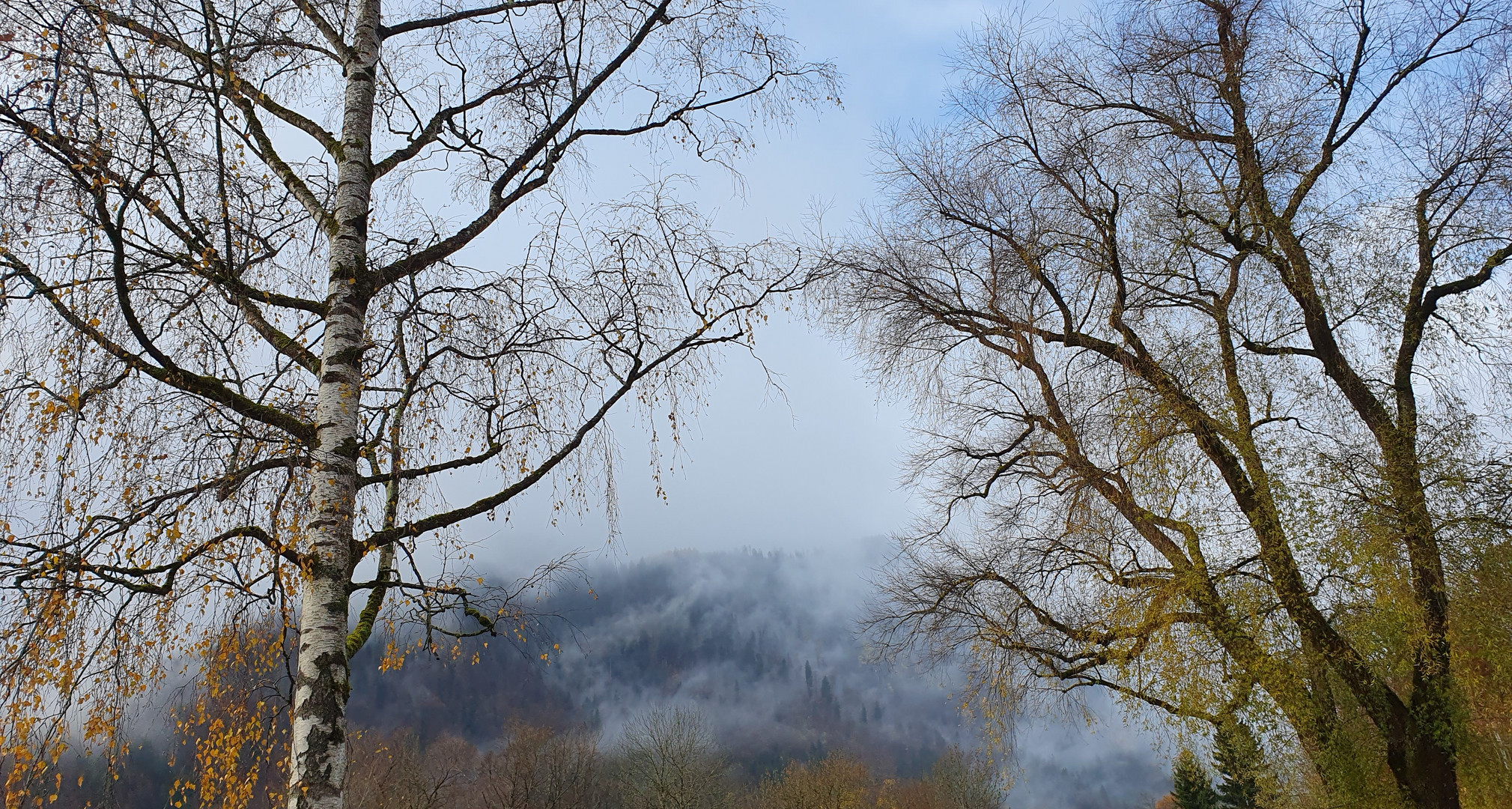 Der Herbst verabschiedet sich.