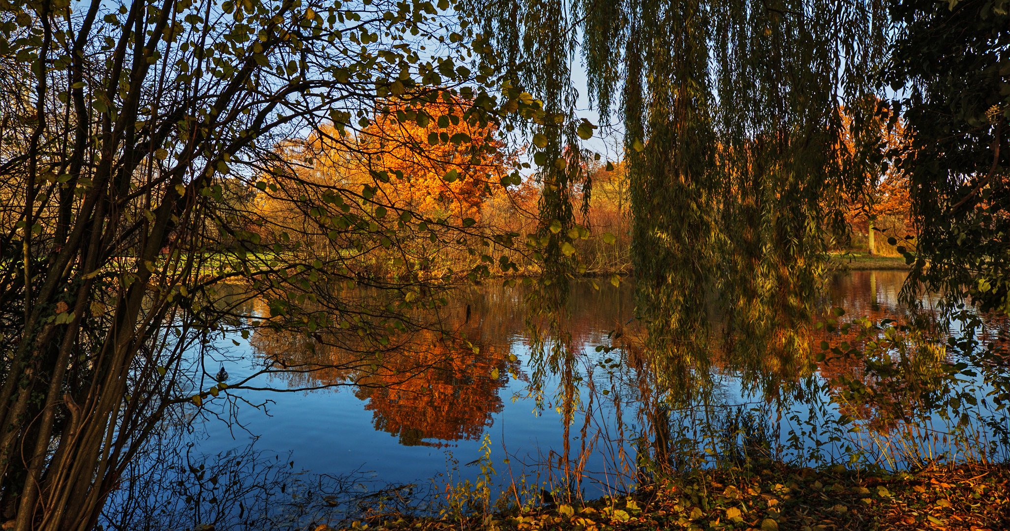 Der Herbst verabschiedet sich