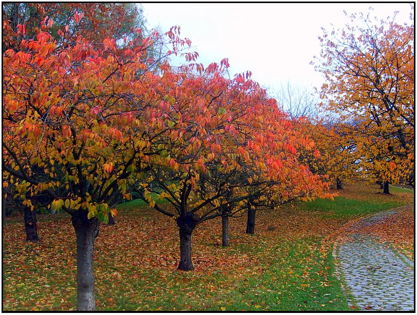 Der Herbst verabschiedet sich