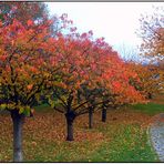 Der Herbst verabschiedet sich